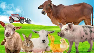 Learn About Farm Animals: Cow, Horse, Pig, Duck, Goat, Rabbit - Animal sounds