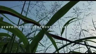 "The Tree of Life" Soundtrack - Symphony No. 3 - Symphony of Sorrowful Songs