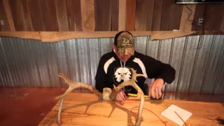 Scoring Deer: Mass Measurements