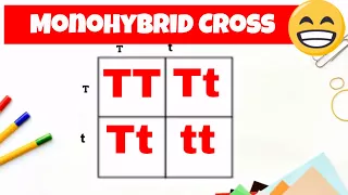 Monohybrid cross and the Punnett square