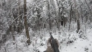 Tracking a Big Maine Buck on Snow | He Tries to Lose Me In a Stream & How I Pick The Track Up Again