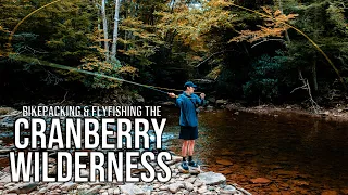 Fly Fishing & Camping Along The Cranberry River | Bikepacking in Monongahela National Forest