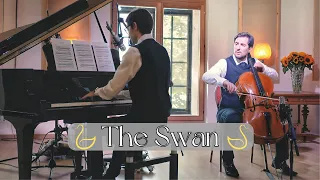 "The Swan" - Carnival of the Animals by Saint-Saëns