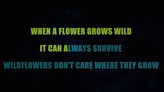 Wildflowers (Karaoke) by Dolly Parton