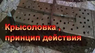 Крысоловка, принцип действия