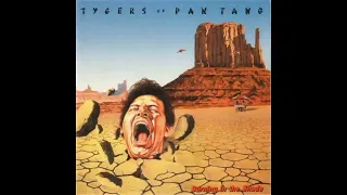 T y g e r s o f P a n T a n g - Burning in the Shade (Full Album 1987)