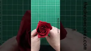 Sugar Red Rose