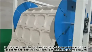 Biodegradable Rice Husk Based Food Plate Making Machine