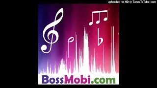 Khiladi - Vada Raha Sanam(DJ Shadow Dubai and DJ Ansh Remix)(bossmobi.com)