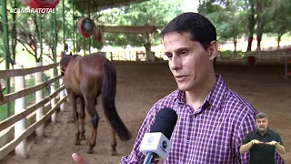 É O BICHO - ACUPUNTURA EM CAVALOS 04-01-2021