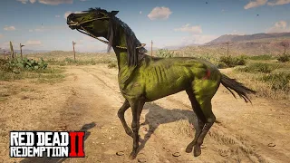 Puro-Sangue-Árabe VERDE? Domando o cavalo do Apocalipse  -   Red Dead Redemption 2  -  ep 31