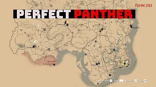 One Perfect Panther Pelt Can Make Your Horse More Beautiful & Powerful - RDR2