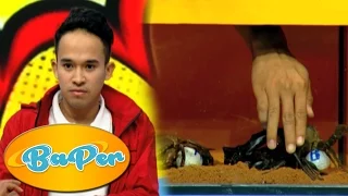 Kotak Misteri yang bikin Anwar Histeris [BAPER] [03 September 2016]