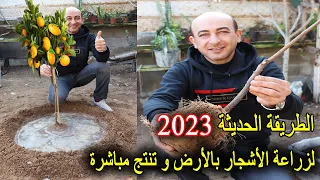 الطريقة الحديثة 2023 لزراعة الاشجار المثمرة و الزينة بالارض مباشرة