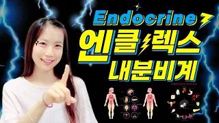 미국간호사 되기, 엔클렉스 준비: 내분비계 구조와 기능, 호르몬, 미군부대 간호사, 같이공부해요, 탈임상, 간호사 취업, 업무, 역량, n-clex , 공부방법