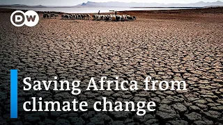 How will COP27 address Africa's climate challenges? | DW News