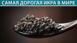 Вот почему черная икра такая дорогая