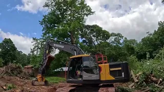Cleaning Up Logs And More Big Trees
