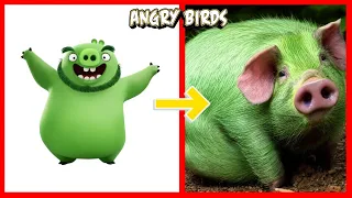 How Angry Birds Looks 💎Characters New In Real Life 2024💎