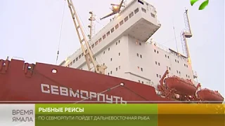 По Севморпути будут доставлять дальневосточную рыбу в центральную Россию