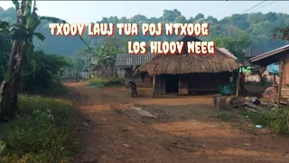 txoov lauj tua poj ntxoog los hloov neeg 21-4-2022