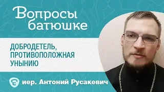 Добродетель, противоположная унынию. Иерей Антоний Русакевич