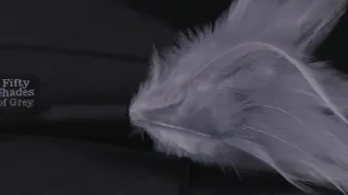 Fifty Shades of Grey Tease Feather Tickler