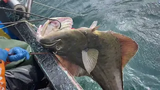 Back to Kodiak - Halibut Part 2