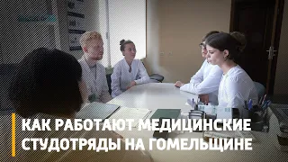 Как работают медицинские студотряды на Гомельщине