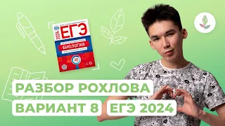 ВАРИАНТ 8 РОХЛОВ ЕГЭ-2024 РАЗБОР // NEOFAMILY