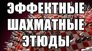 Эффектные шахматные этюды. Шахматная композиция. Шахматный этюд. Шахматы. Решение шахматных позиций.