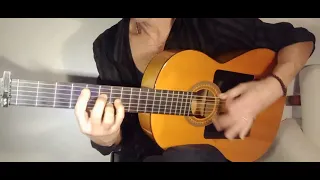 Corazòn Partio - Alejandro Sanz.   (Vicente Amigo Guitar solo)