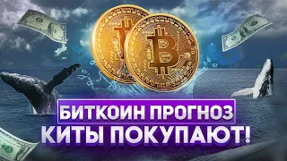 БИТКОИН КОГДА ПОКУПАТЬ? КИТЫ ПОДСКАЖУТ!! БИТКОИН ПРОГНОЗ