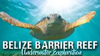 SCUBA DIVING BELIZE | Ambergris Caye and Placencia | travel vlog 2019