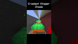 Minecraft's Craziest Villager Chase...