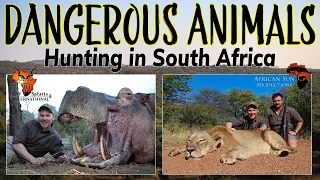 Hunting Dangerous Animals - Hippo and Lion