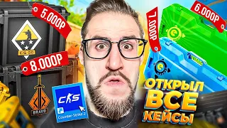 ОТКРЫЛ ВСЕ КЕЙСЫ с 2013 года ЗА 40.000 РУБЛЕЙ в CS2! КЕЙС ЗА $1 vs $100 В КС2! МЫ В ШОКЕ...