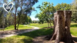 Nature Walk, Hidden Oasis [4K] Gold Coast Australia - Virtual Walking Tour - Treadmill Background