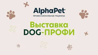 Обзор выставки Dog-Профи | AlphaPet