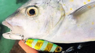 "Reefed by a Giant Fish: Epic Ultra-Light Fishing Fail!"