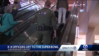 Sunport K-9s smelling for explosives at the Super Bowl