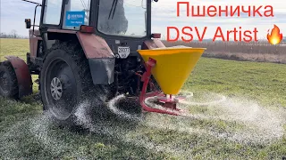 Перше підживлення пшенички 🌾 2024‼️ МТЗ 82.1 + т156 💪 Сульфат Амонію‼️ cultivation of winter wheat