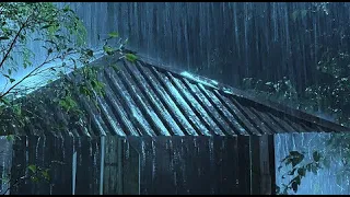 🔴 Heavy Rain on a Tin Roof for Sleeping 24/7, Sleep Instantly with Rain Sounds & Thunder at Night