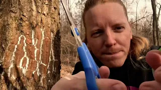 ASMR | Haircut On A Tree 🌳 And You