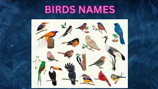 Birds Name, 20 birds name, birds name with spelling pictures || Kids Learning video