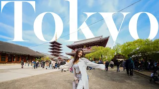 Japan vlog: exploring Senso-ji, Akihabara, what to eat | Tokyo vlog