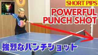 Short Pips Guide: The Backhand Punch Shot[Table Tennis]