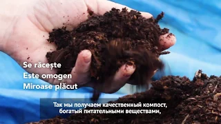 What is hot compost and how is it made? InfOrganic