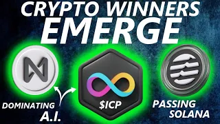 $ICP, Aptos, NEAR are WINNING | BITFARMS "TAKEOVER" | BUYING SOLANA | Celebrity SH!TCOINS