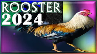 ✪ Rooster Horoscope 2024 |✦| Born 2017, 2005, 1993, 1981, 1969, 1957, 1945, 1933